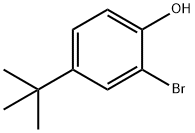 2-溴-4-叔丁基苯酚